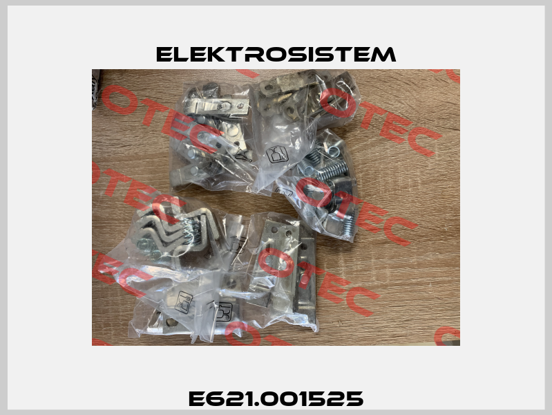 E621.001525 Elektrosistem