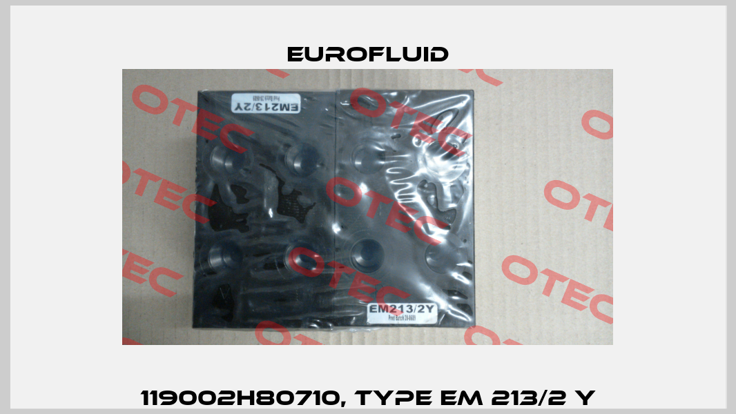 119002H80710, Type EM 213/2 Y Eurofluid