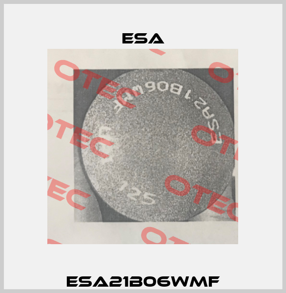 ESA21B06WMF Esa