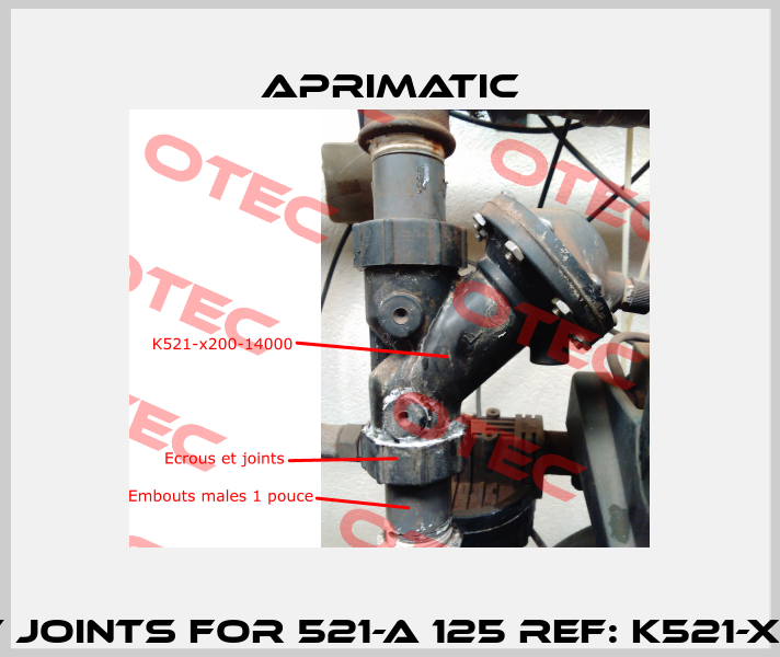 Ecrous et joints for 521-A 125 REF: K521-X200-14000  Aprimatic