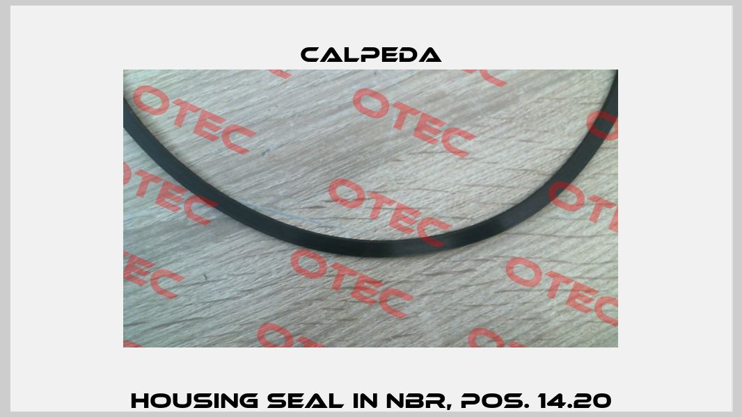 Housing seal in NBR, Pos. 14.20 Calpeda