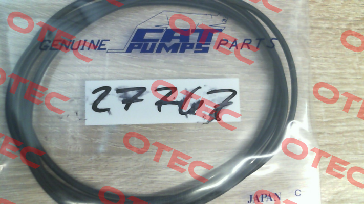 27767 Cat Pumps