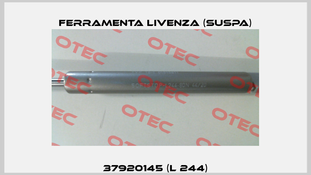 37920145 (L 244) Ferramenta Livenza (Suspa)