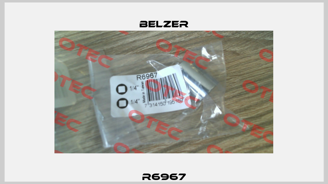 R6967 Belzer