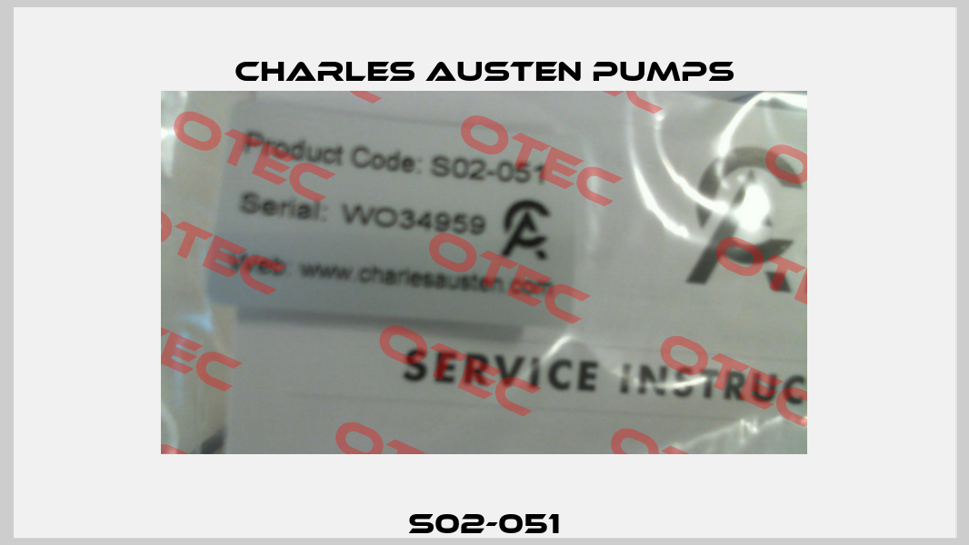 S02-051 Charles Austen Pumps