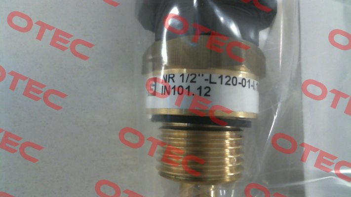 IN101.12   NR 1/2" - L120-01 Goldammer
