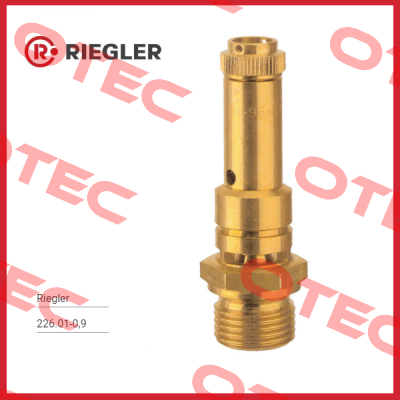 226.01-0,9 Riegler