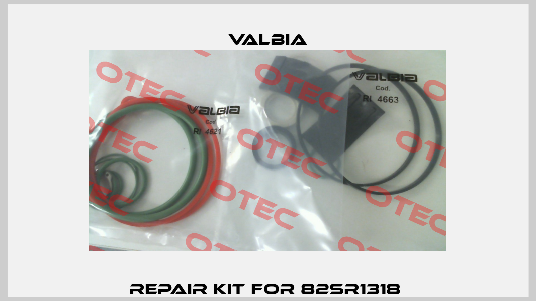 repair kit for 82SR1318  Valbia