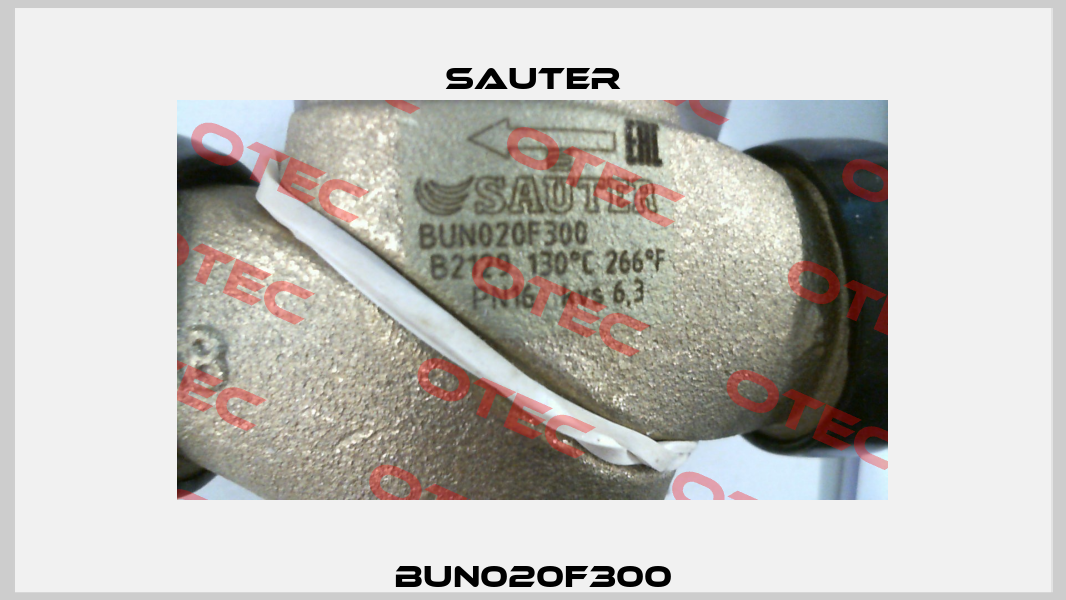 BUN020F300 Sauter