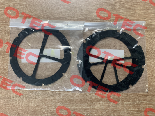 Gasket kit for BEM 505-A4 HP30 exchanger ( Cod. FLKITGUARN5" ) Flovex