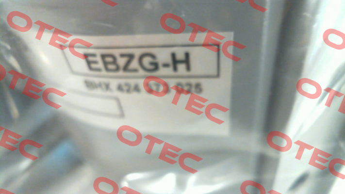 EBZG-H Foxboro
