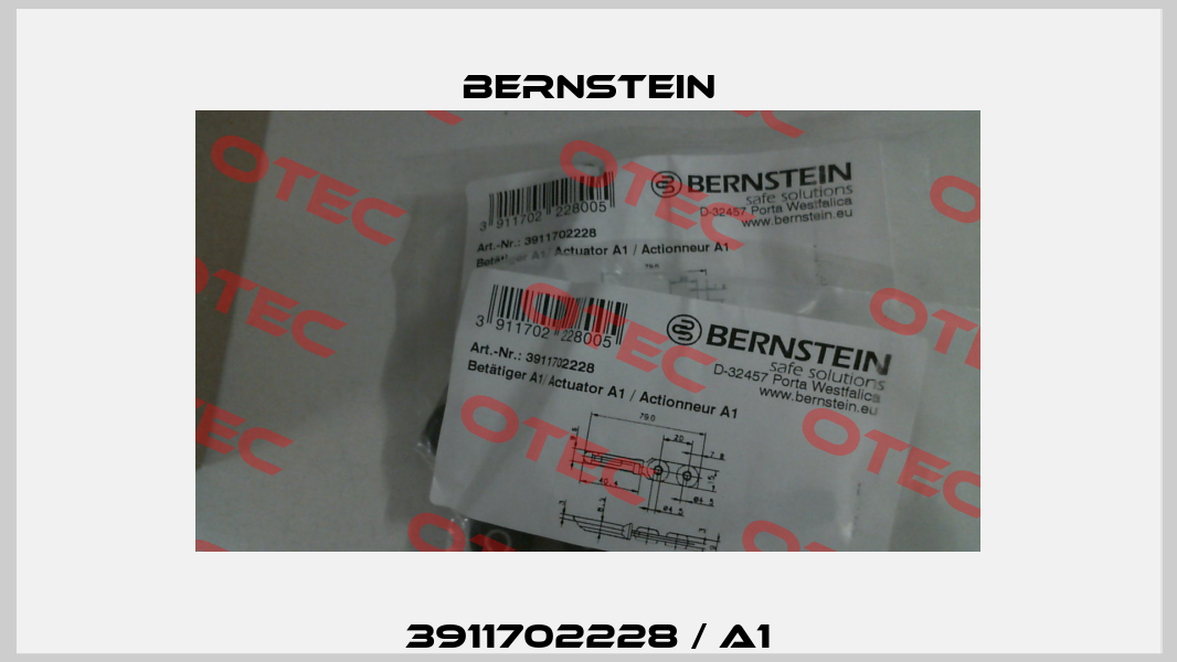 3911702228 / A1 Bernstein