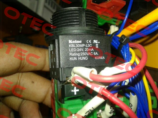 KBL30MP  Koino