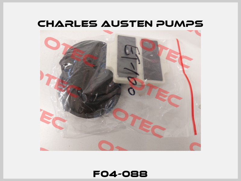 F04-088 Charles Austen Pumps
