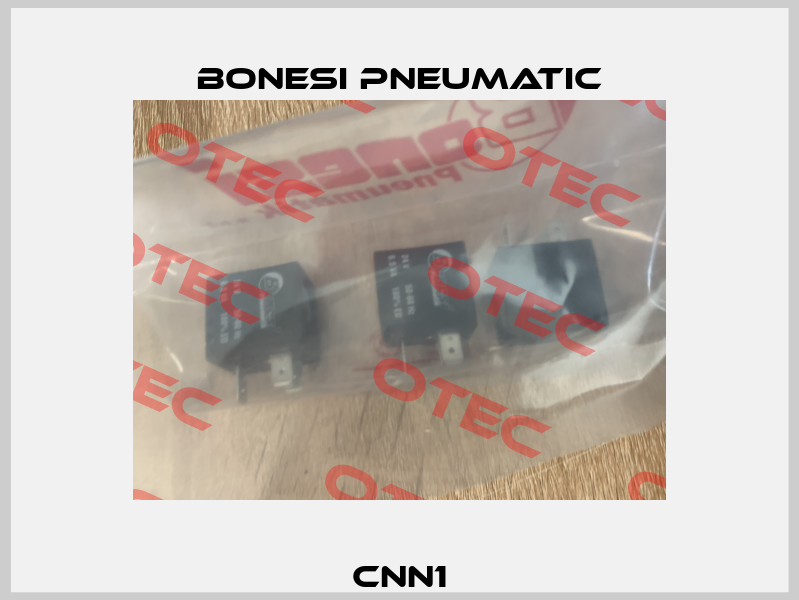 CNN1 Bonesi Pneumatic
