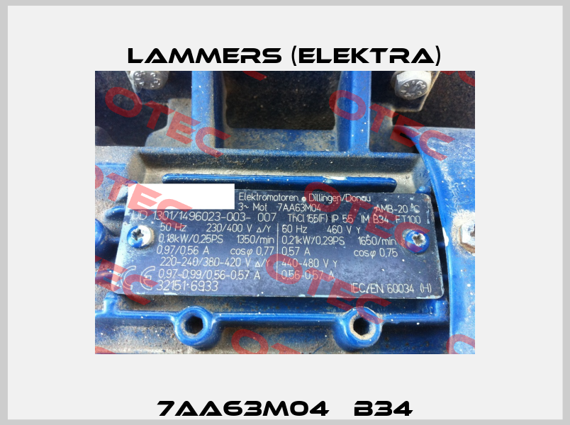 7AA63M04   B34 Lammers (Elektra)