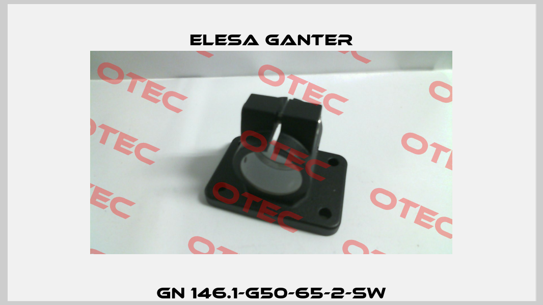 GN 146.1-G50-65-2-SW Elesa Ganter