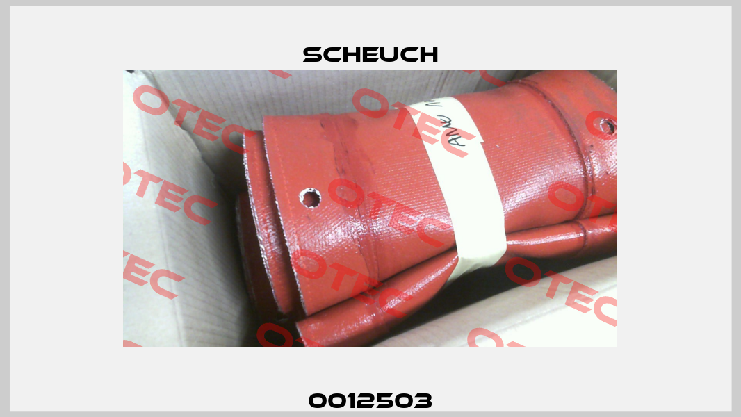 0012503 Scheuch