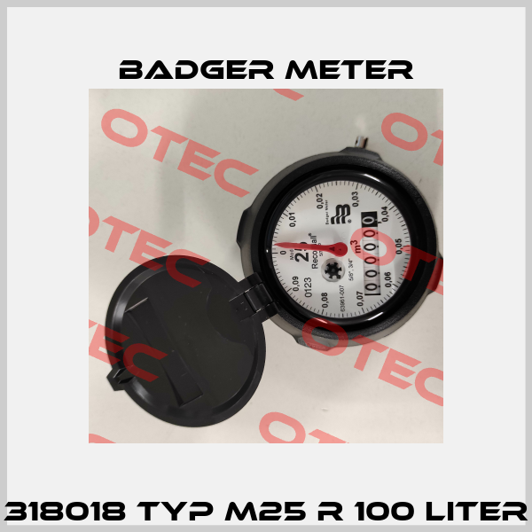 318018 Typ M25 R 100 Liter Badger Meter