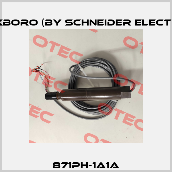 871PH-1A1A Foxboro (by Schneider Electric)