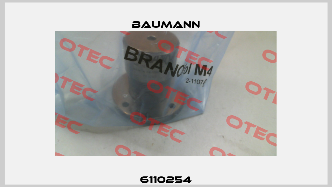 6110254 Baumann
