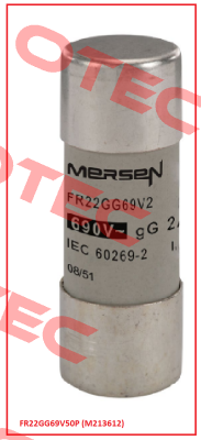 FR22GG69V50P (M213612)  Mersen