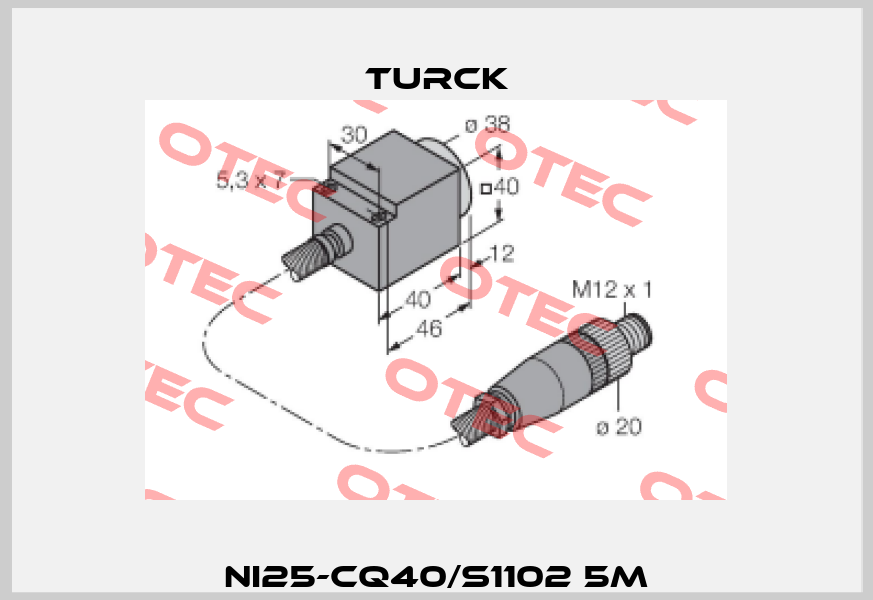 NI25-CQ40/S1102 5M Turck