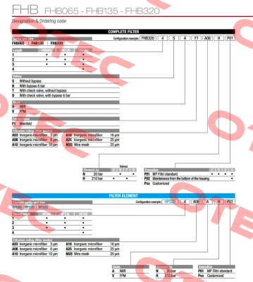 FHB-135-2-S-A-F1-A10-H-P01 MP Filtri