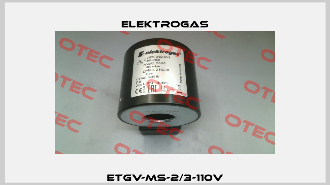 ETGV-MS-2/3-110V Elektrogas