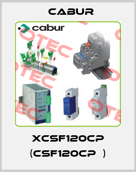 XCSF120CP (CSF120CP  ) Cabur