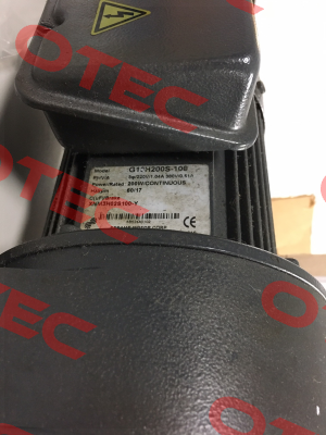 G13H200S-100 Sesame Motor