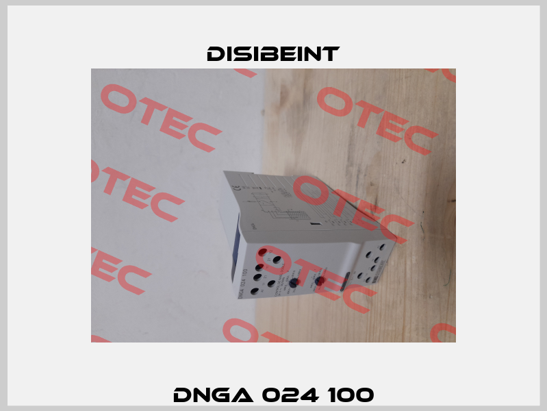 DNGA 024 100 Disibeint