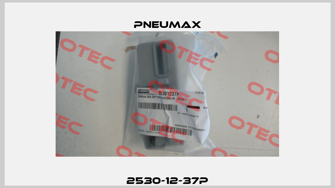 2530-12-37P Pneumax