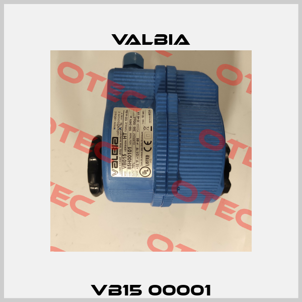 VB15 00001 Valbia