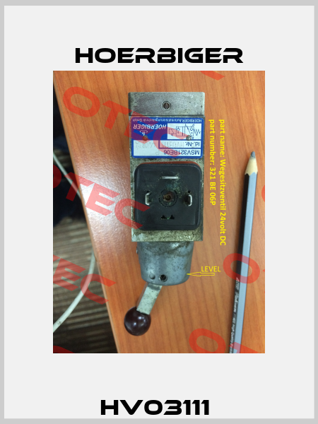 HV03111  Hoerbiger