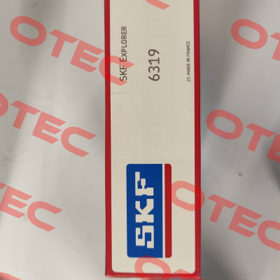 6319 Skf